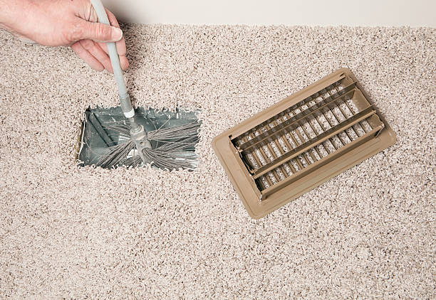 Best Air Duct Mold Removal  in Munster, IN
